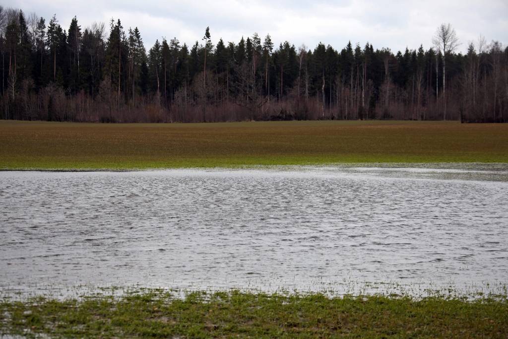 Latvijas austrumu rajonu upēs strauji cēlies ūdens līmenis