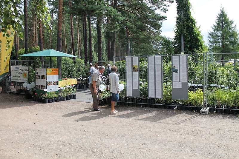 Sētu saimnieki dosies ekskursijā uz stādaudzētavu