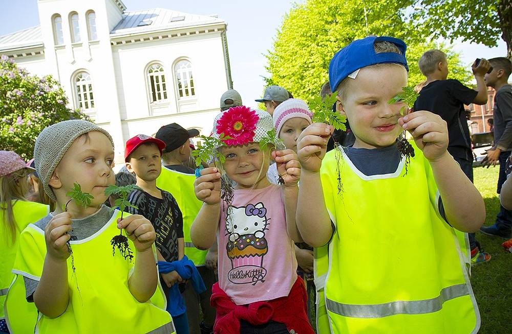 Mazie liepājnieki pilsētu izdaiļo ar pašu audzētajiem puķu stādiem