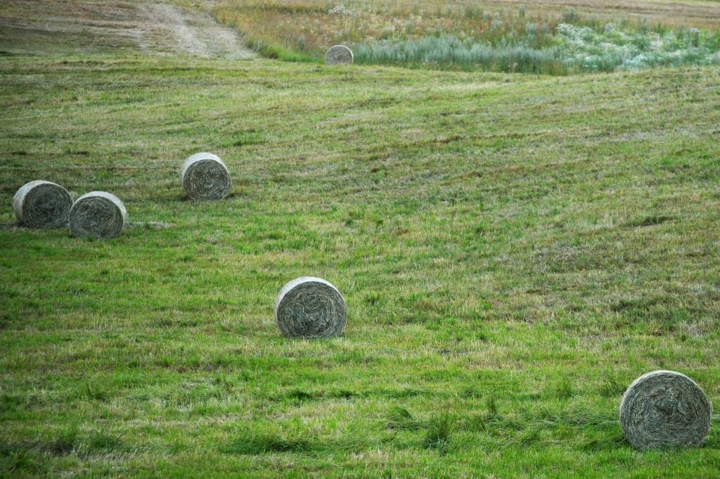 Šodien sāksies astronomiskā vasara