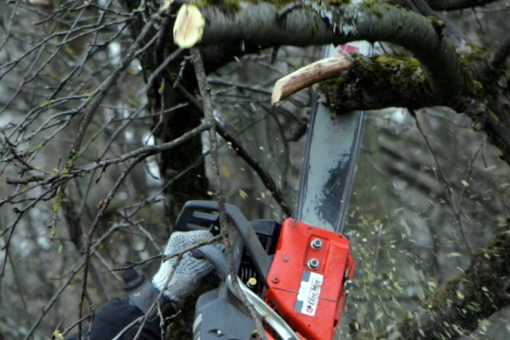 Vīrietis gūst smagu politraumu, strādājot piemājas dārzā