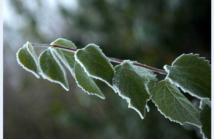 Liepājas lidostā pārspēts aukstuma rekords