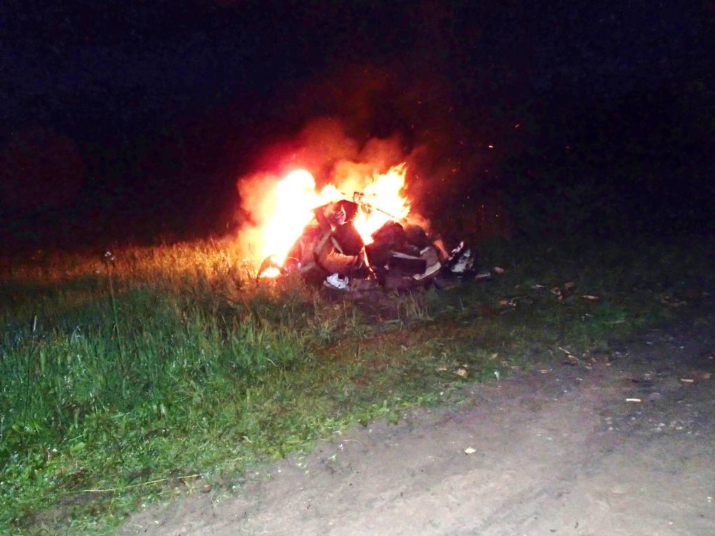 Āfrikas cūku mēri apstiprina vēl četrām meža cūkām