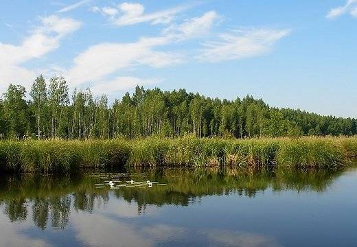 Vakar no ūdeņiem izcelti pieci noslīkušie, arī Grobiņas novadā notikusi nelaime