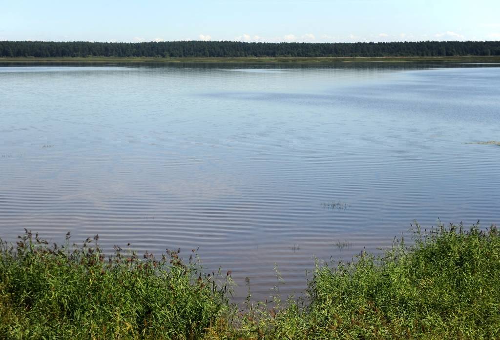 Pierīgā noslīkuši divi cilvēki; sievietei, staigājot pa dārzu, iekož čūska