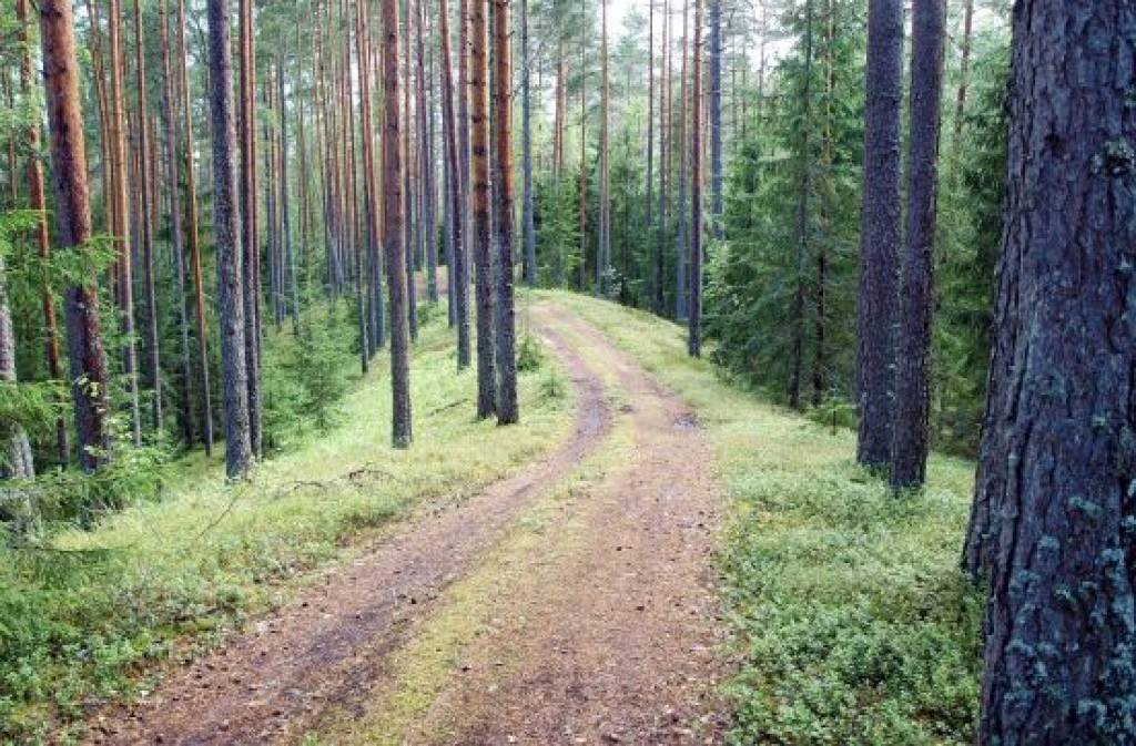 Velopiedzīvojumi Igaunijā