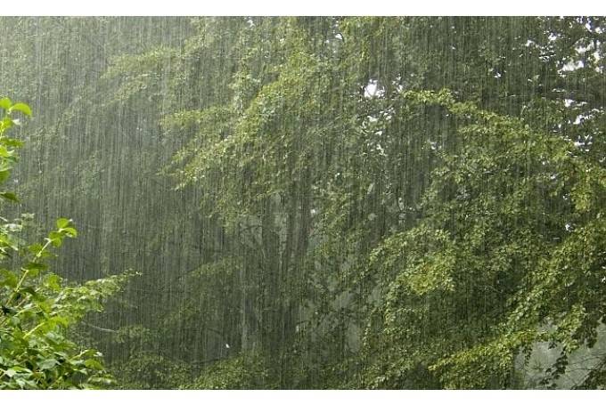 Brīdina par stiprām lietusgāzēm