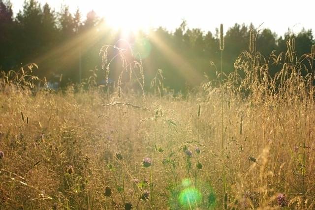 Nākamnedēļ gaidāms saulains laiks