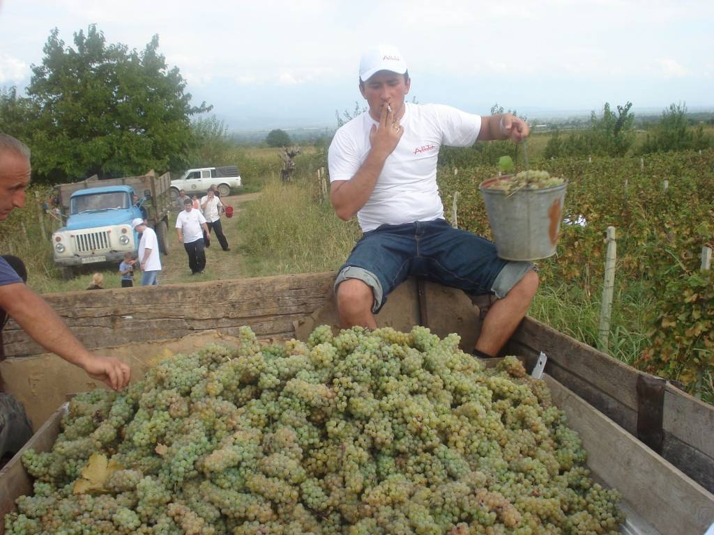 Ceļojums: Gruzija