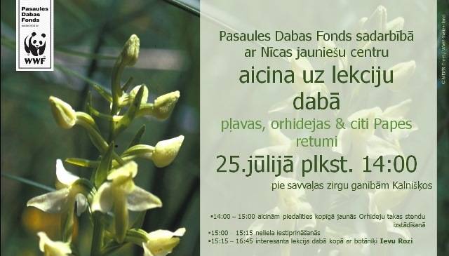 Kalnišķos atklās savvaļas orhideju taku