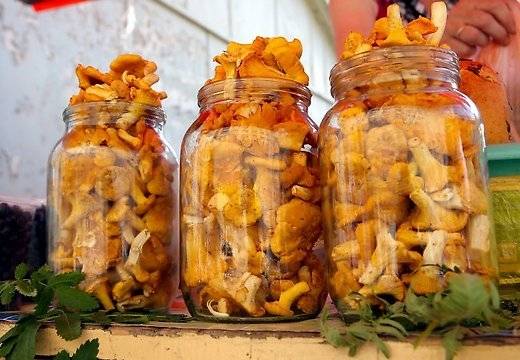 No sēņošanas un ogošanas ienākumiem līdz 2845,74 eiro nav jāmaksā IIN