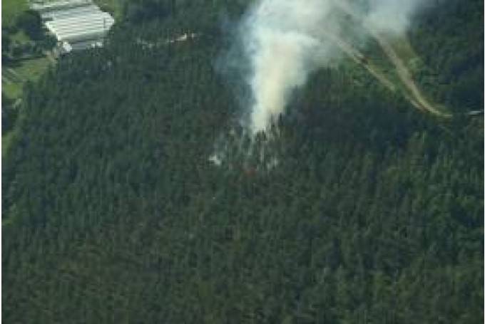 Brīdina par ļoti augstu ugunsbīstamību Latvijas mežos; īpaši rietumu daļā