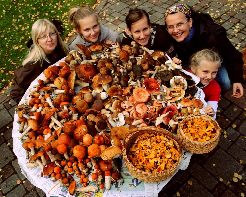 FOTOKONKURSS: Latvieša gēni liek meklēt sēni!