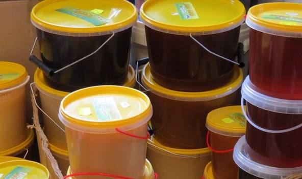 Dosies uz biškopju starptautisku saietu