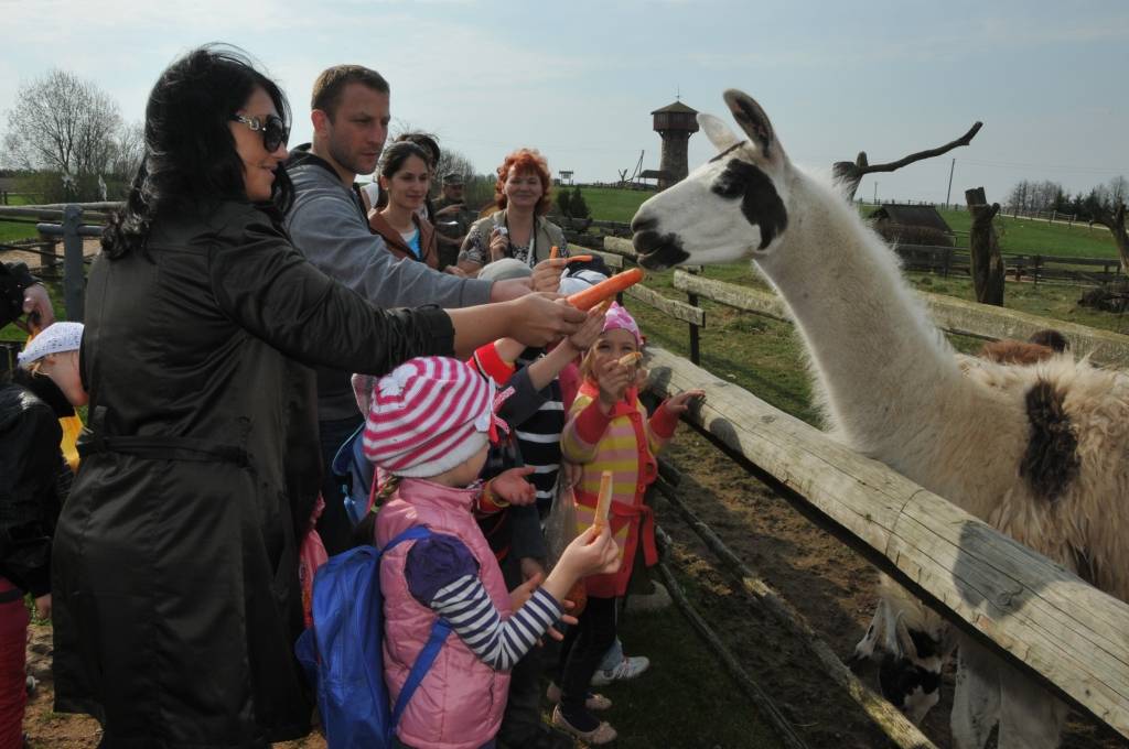 Zoodārzs aicina piedalīties fotokonkursā