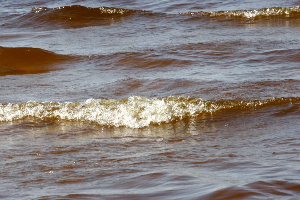 Glābējs atklātā jūrā nopeld 38 kilometrus no Kolkas līdz Roņu salai