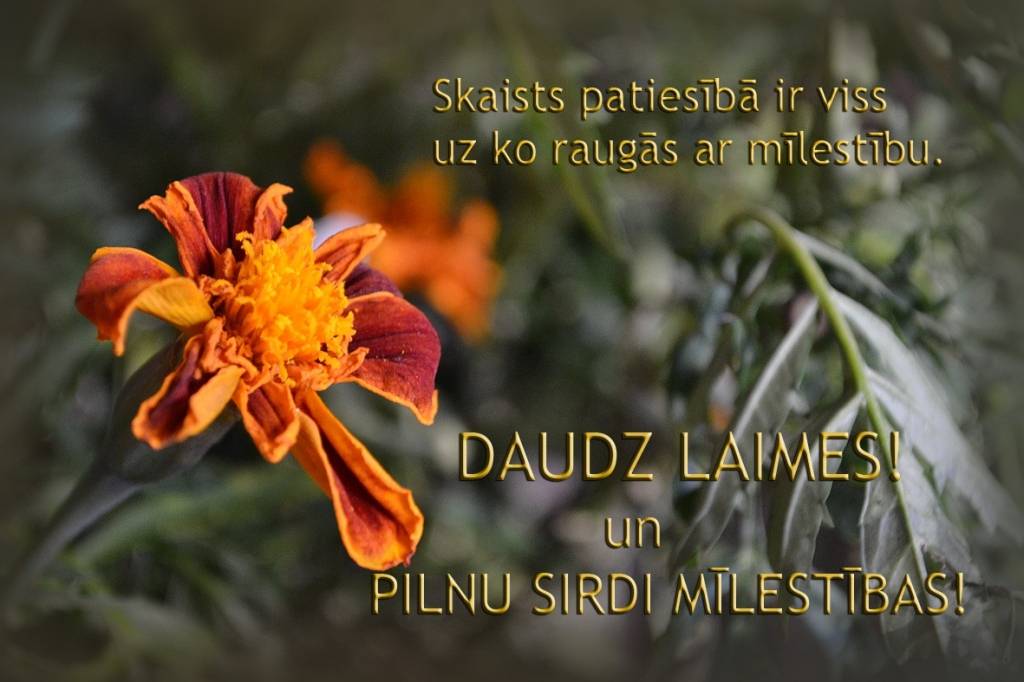 Apsveikuma kartītes latviešu valodā jāmeklē citur
