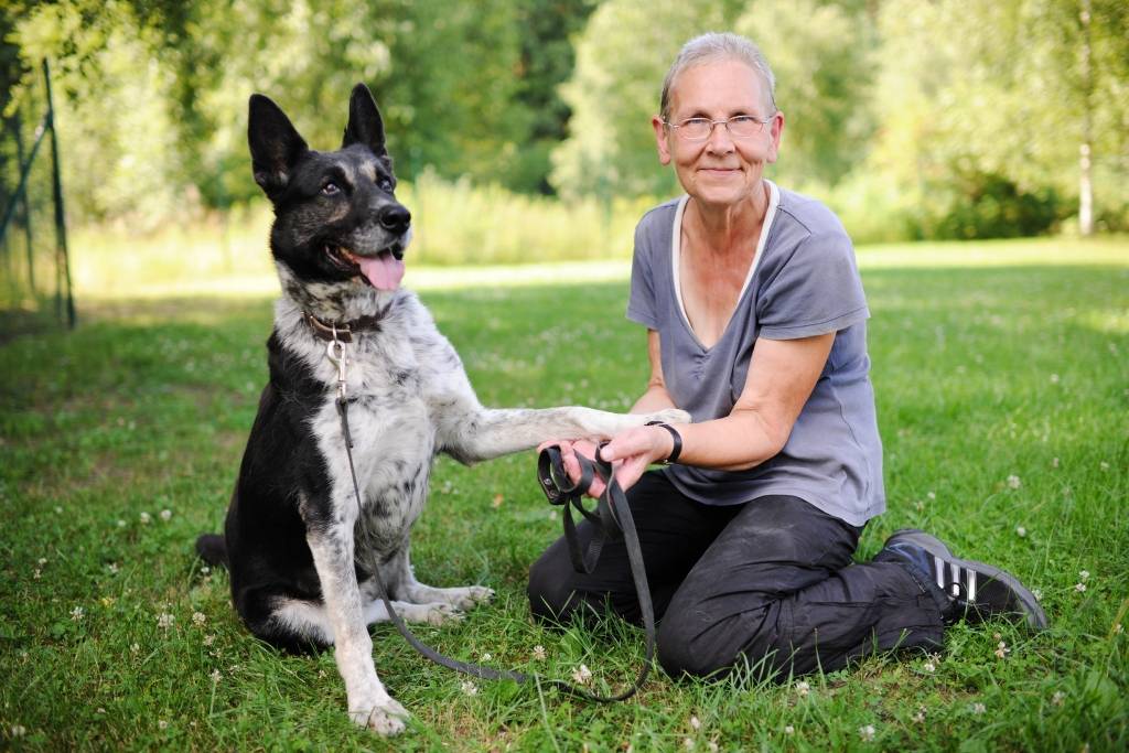 Pastaiga ar suni - terapija jaunam un vecam