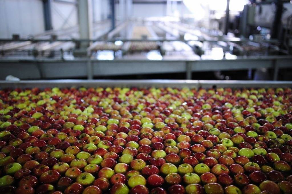 Eiropas Komisija augļu un dārzeņu ražotāju atbalstam piešķirs 125 miljonus eiro