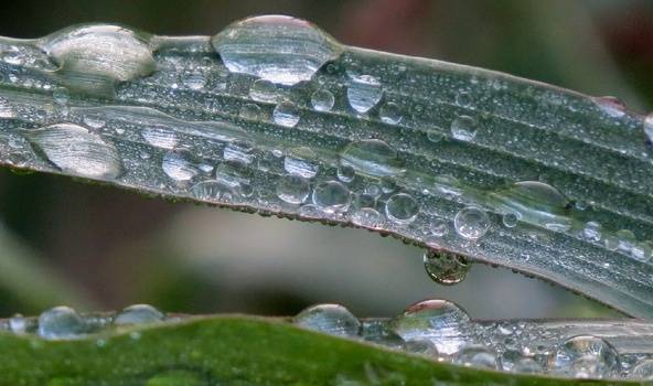 Šodien saule mīsies ar mākoņiem