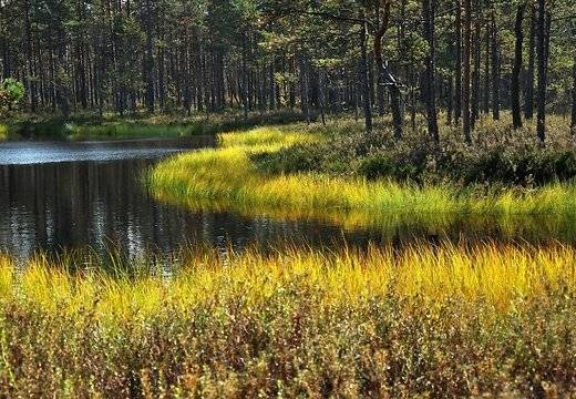 Nedēļas nogale būs saulaina un silta, nākamnedēļ atgriezīsies vasara