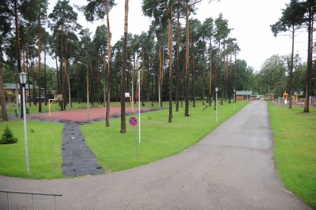 Izcirstie bērzi spokojas tiesu gaiteņos