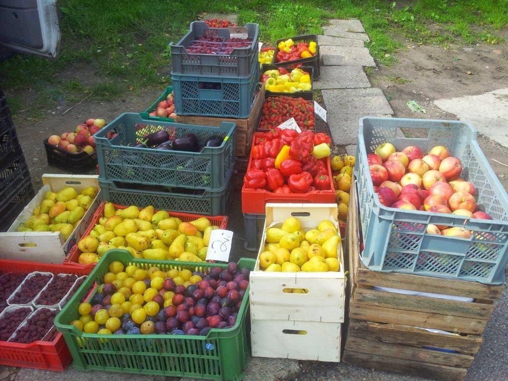 Veicot pārbaudes, Liepājas tirgū izņem piecas tonnas augļu un dārzeņu