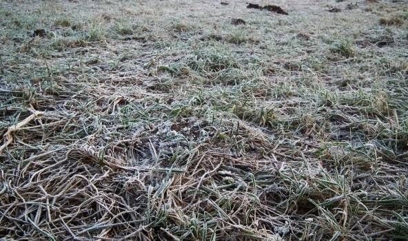 Šonedēļ iespējamas pirmās salnas, bet dienas būs saulainas un siltas