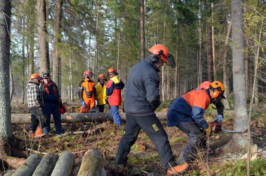 Kazdangas pagastā gūst traumas, veicot meža darbus