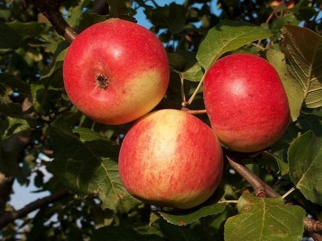 Atvasara turpināsies ilgāk nekā iepriekš prognozēts