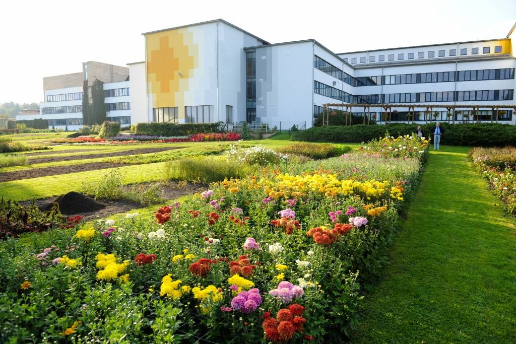 Bulduru skola parādos un neziņā