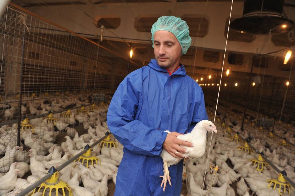 Ķekavas putnu fabrika pošas apgūt Ķīnas tirgu