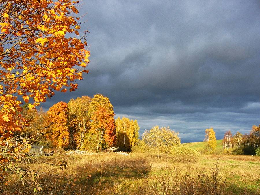 Septembra pēdējās dienas būs salīdzinoši siltas, oktobris atnāks ar vēsākām gaisa masām