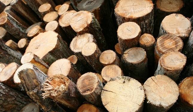 Liepājā nozog kokmateriālus 3000 eiro vērtībā