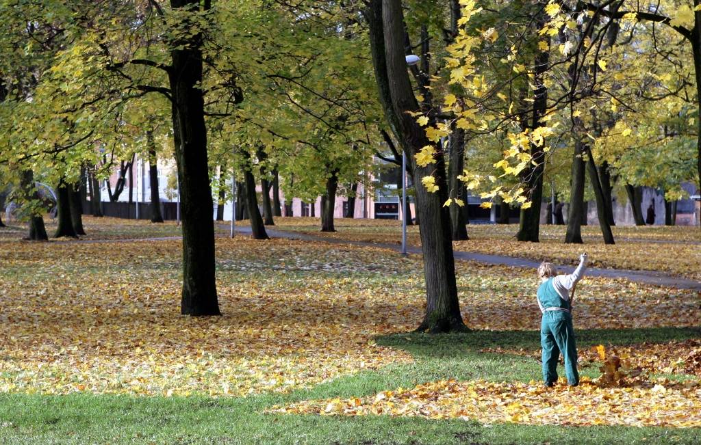Sakoptos laukos kūla nedegs
