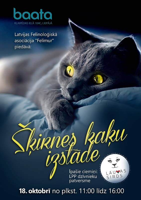 Liepājā notiks pasākums kaķu mīļotājiem