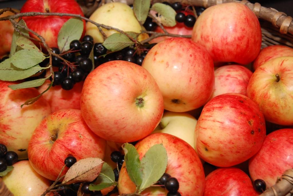 Bezmaksas augļus un dārzeņus skolēni sāks saņemt 3.novembrī; iecienītākie - āboli un burkāni