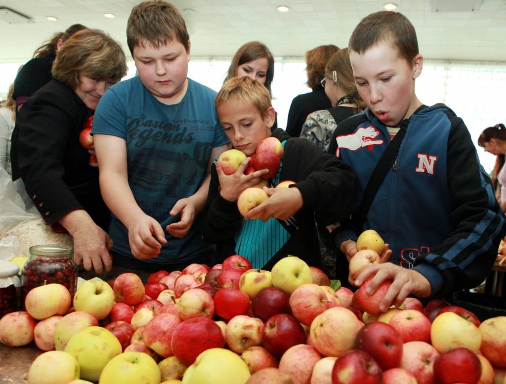Skolēni no 3.novembra trīs reizes nedēļā bez maksas saņems augļus un dārzeņus