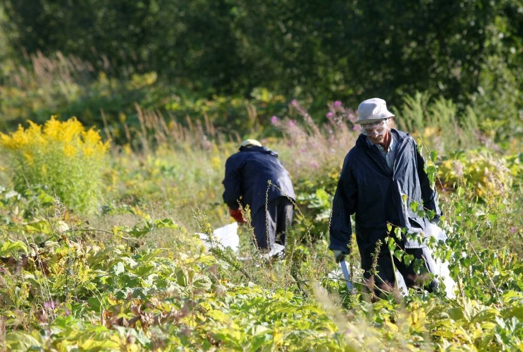 Latvijā par 2,6% pieaudzis trūcīgo skaits
