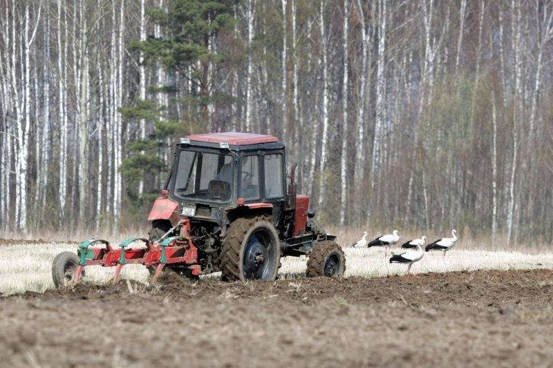 Grobiņā piektdien notiks diskusija par aktualitātēm lauksaimniecības nozarē