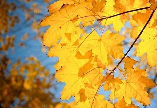 Kurzemē pārspēti šīs dienas siltuma rekordi