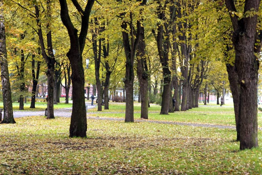 Plāno Esplanādes, Viesturdārza un Kronvalda parka rekonstrukciju