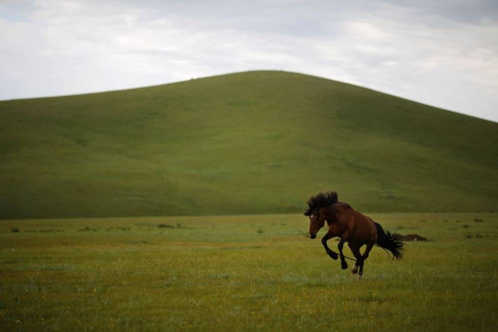 Mongolija dod zaļo gaismu dzelzceļa līnijai uz Krieviju