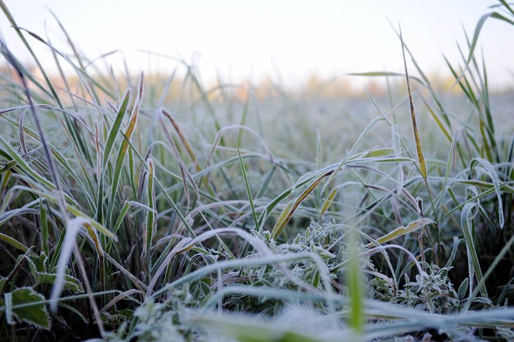 Dabas zīmju vērotājs Bukšs nepiekrīt sinoptiķiem un novembri prognozē aukstāku
