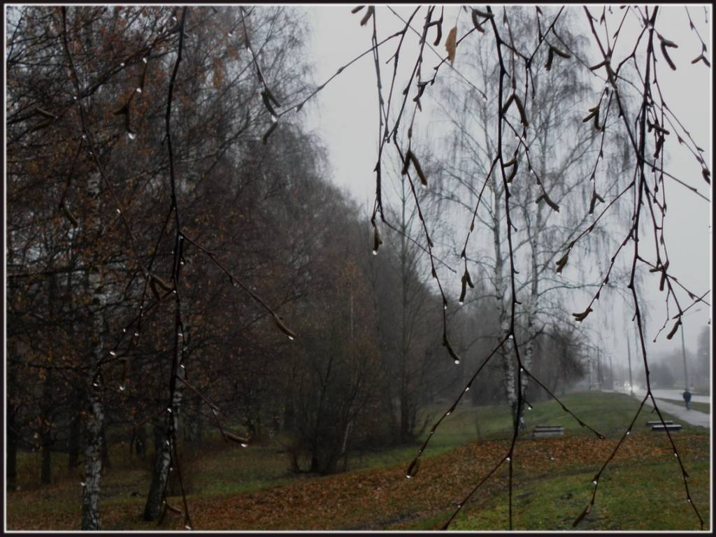 Pēc lietainas piektdienas brīvdienās laika apstākļi uzlabosies