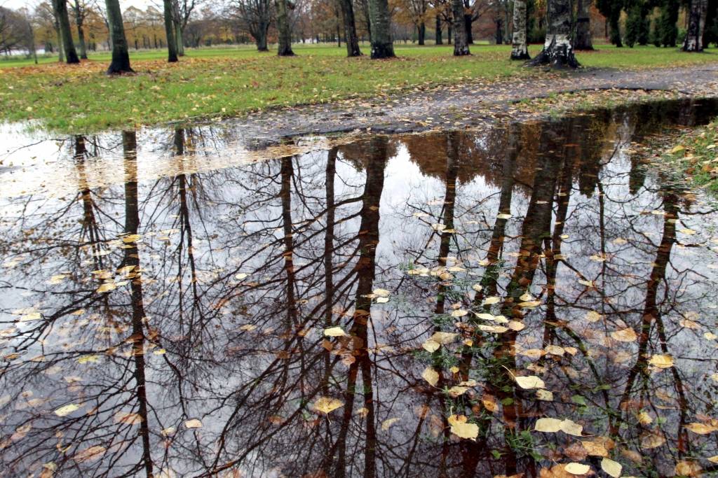 Svētdiena būs saulaina