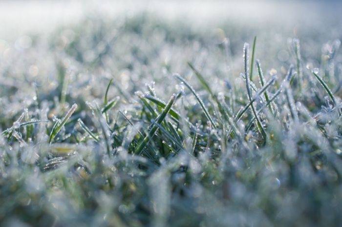 Novembra otrā puse gaidāma krietni vēsāka un bez nokrišņiem