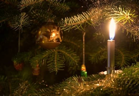 Priekulē aicina uz "Gausīgiem ierāvējiem" un egles iedegšanu