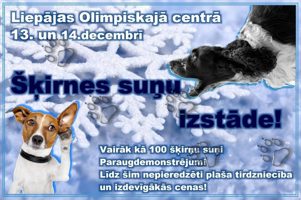 Liepājā notiks gadskārtējā Nacionālā šķirnes suņu izstāde