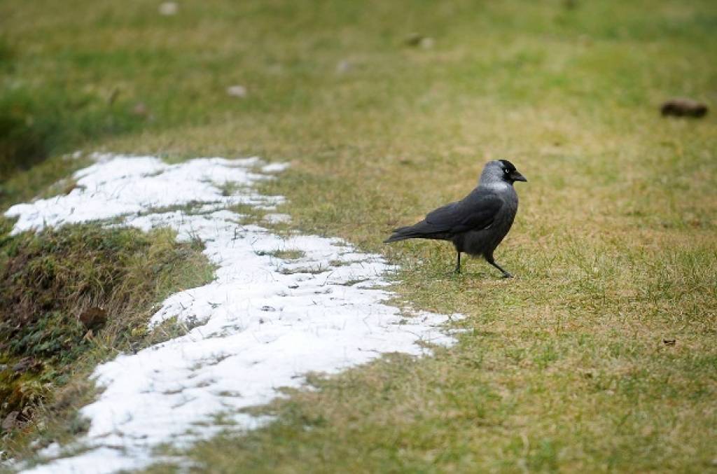 Pirmdien Kurzemē līs, nelieli nokrišņi gaidāmi arī citviet valstī
